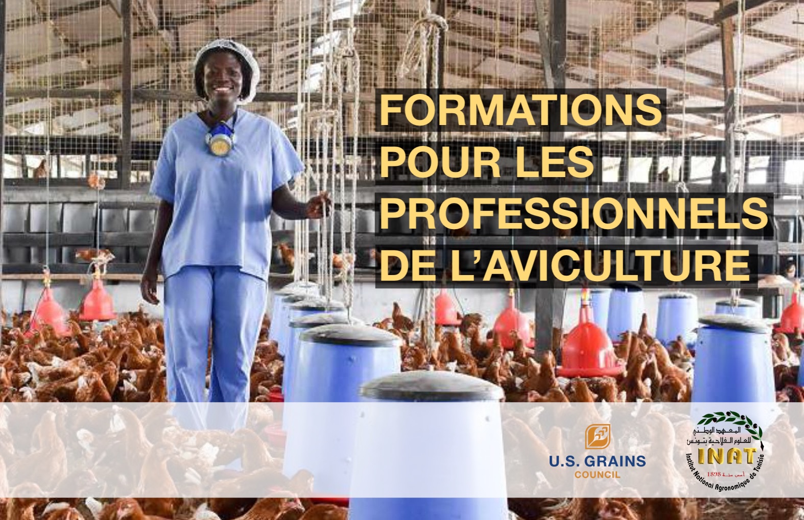Programme de Renforcement des Capacités en Élevage avicole et en Production d’Aliment composé 2025